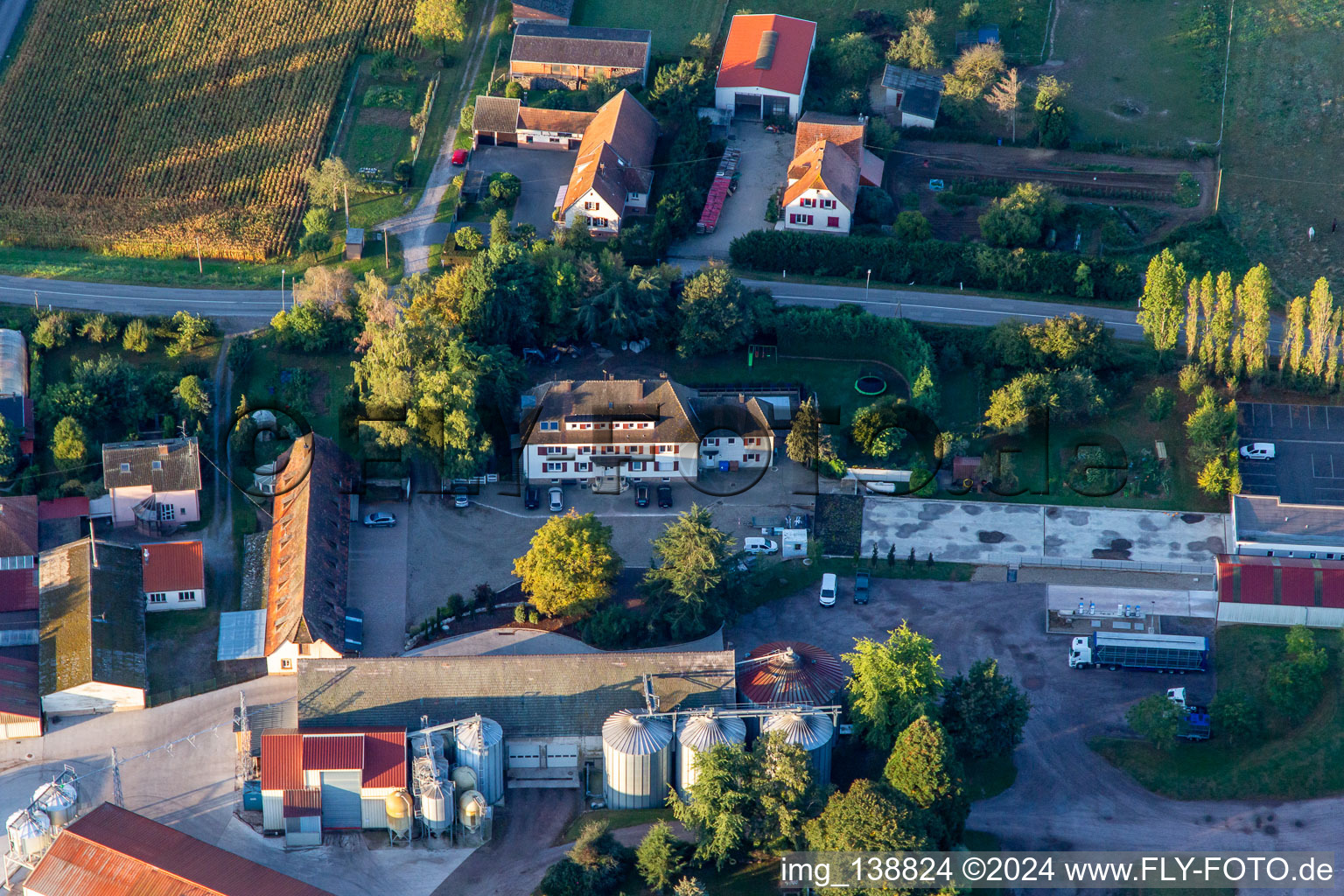 Vue aérienne de Ferme Schafbusch à Steinseltz dans le département Bas Rhin, France