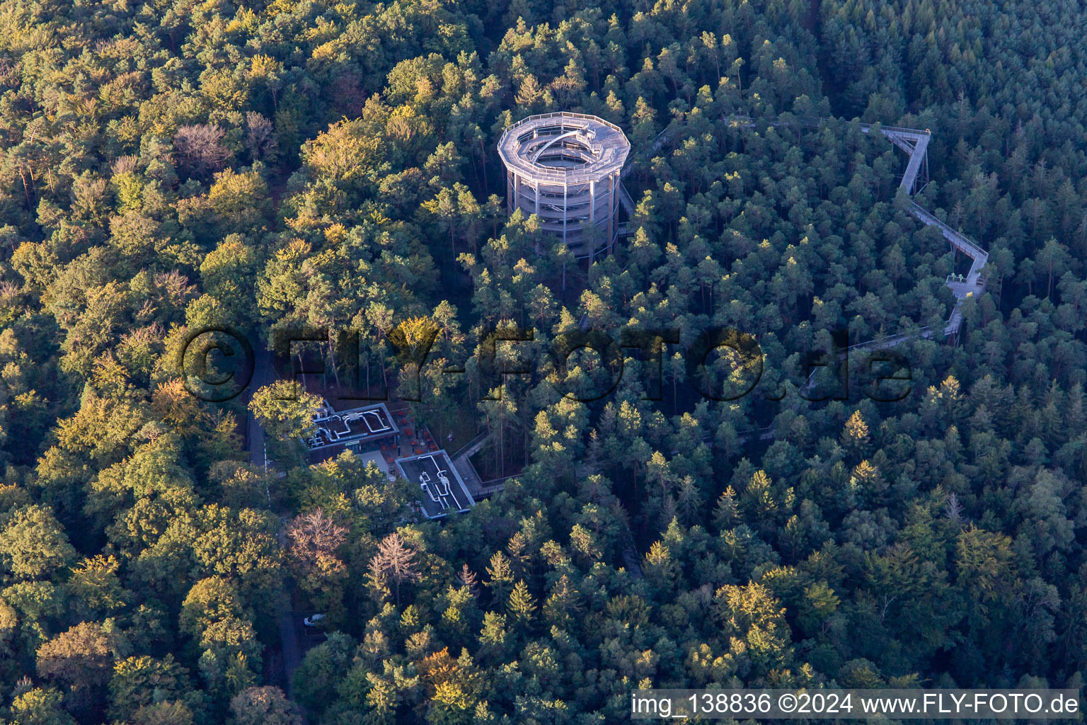 Vue aérienne de Parcours dans les arbres en Alsace à Cleebourg dans le département Bas Rhin, France