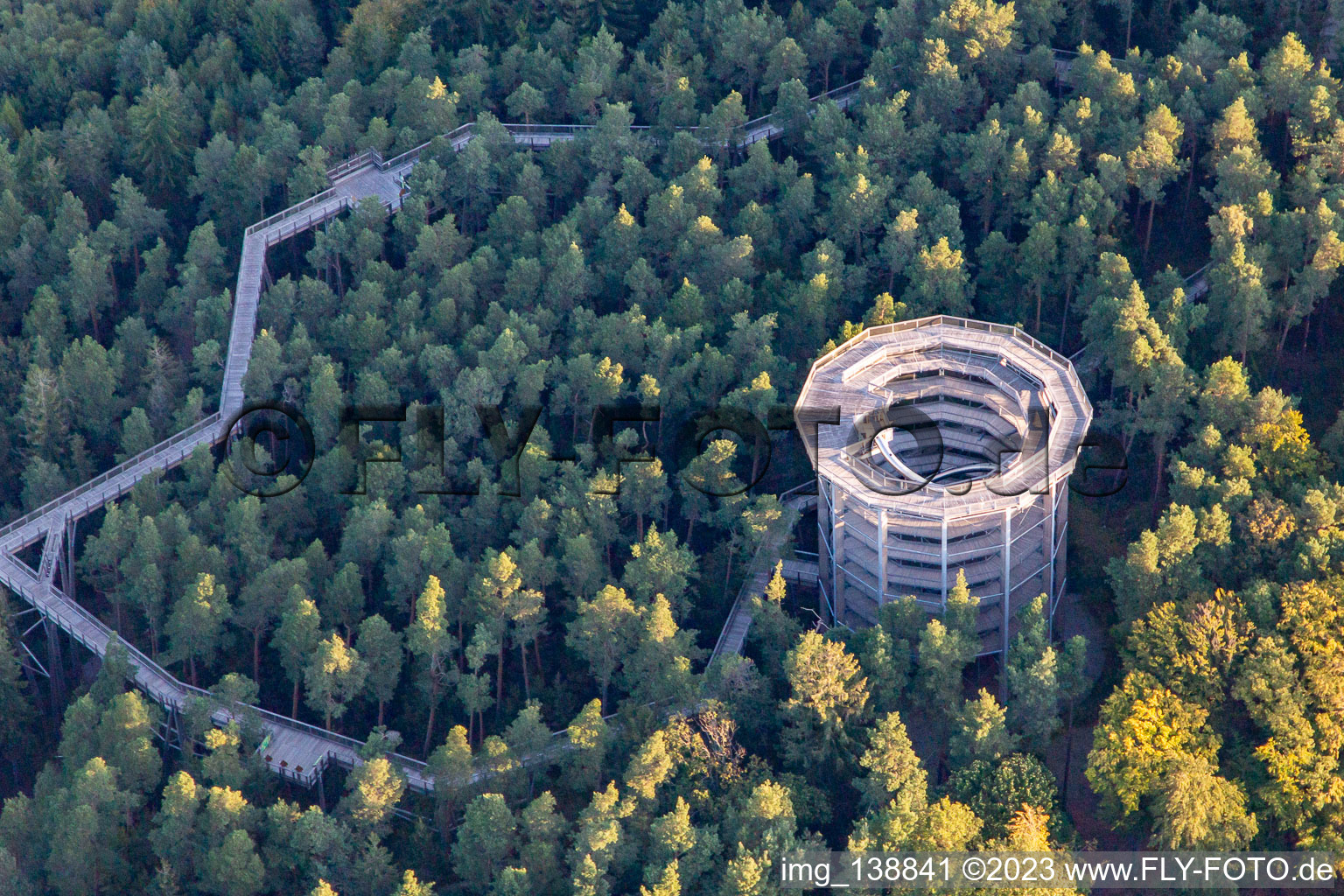 Vue aérienne de Parcours dans les arbres en Alsace à Cleebourg dans le département Bas Rhin, France