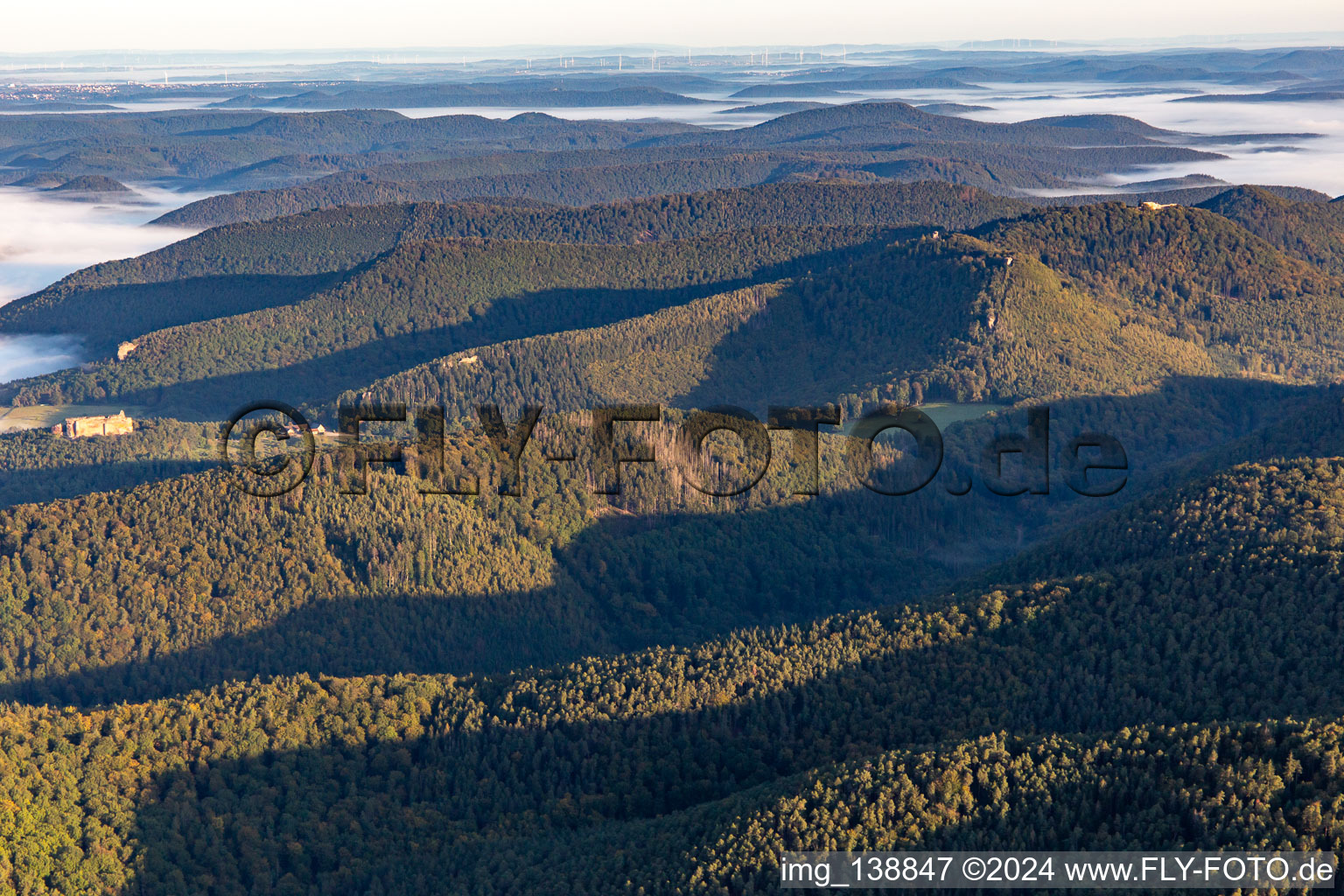 Wingen dans le département Rhénanie-Palatinat, Allemagne vue d'en haut