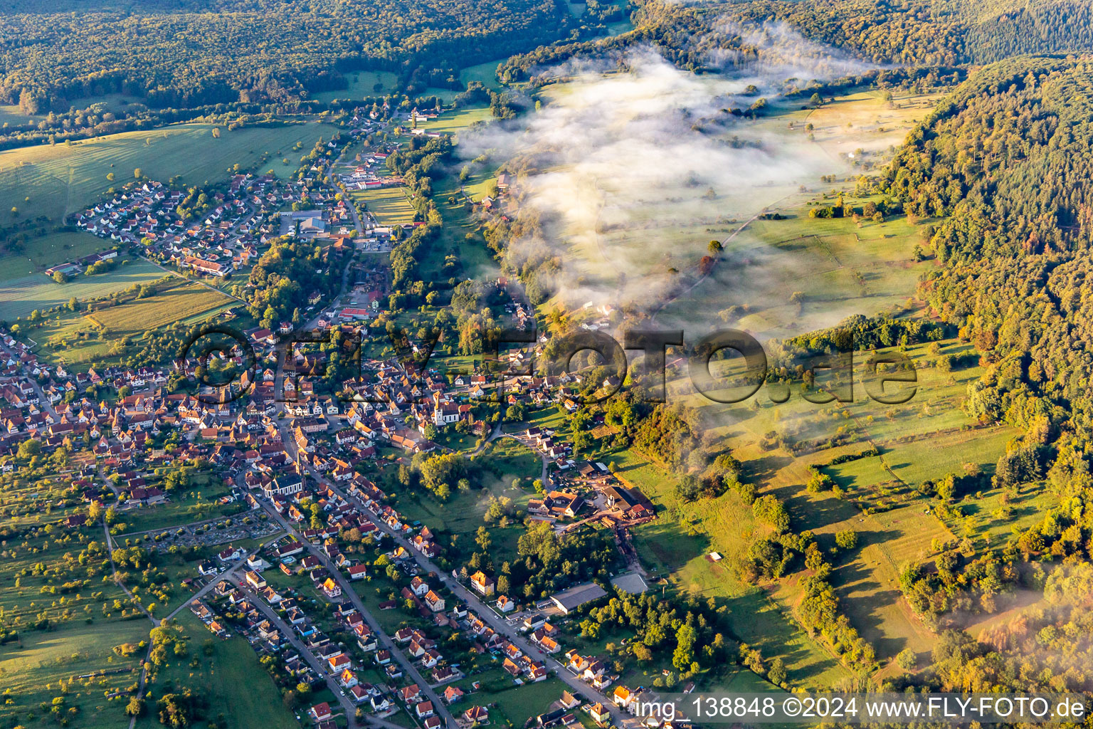 Vue aérienne de Rue de Bitche à Lembach dans le département Bas Rhin, France