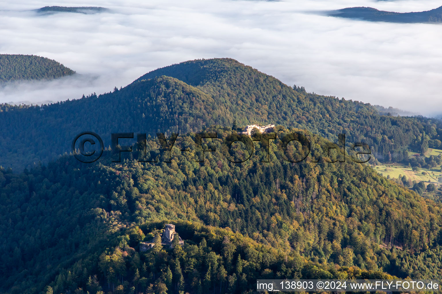 Vue aérienne de Château de Lœwenstein et Wegelnburg à Wingen dans le département Bas Rhin, France