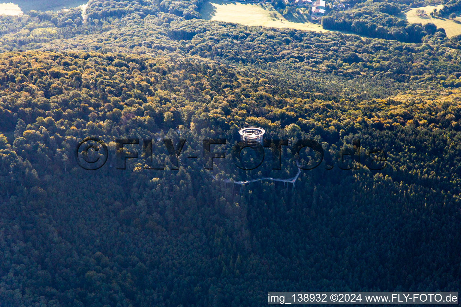 Photographie aérienne de Parcours dans les arbres en Alsace à Cleebourg dans le département Bas Rhin, France