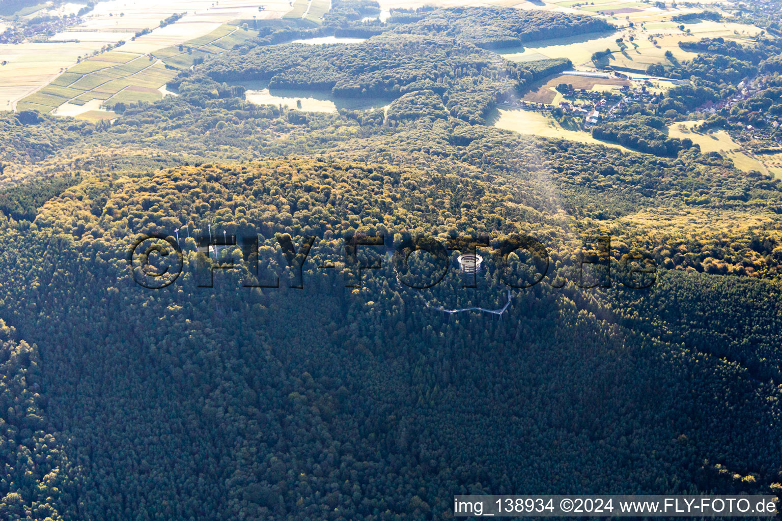 Vue oblique de Parcours dans les arbres en Alsace à Cleebourg dans le département Bas Rhin, France