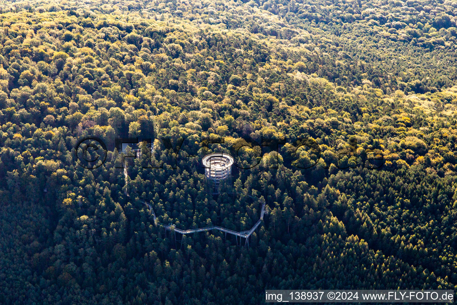 Parcours dans les arbres en Alsace à Cleebourg dans le département Bas Rhin, France d'en haut