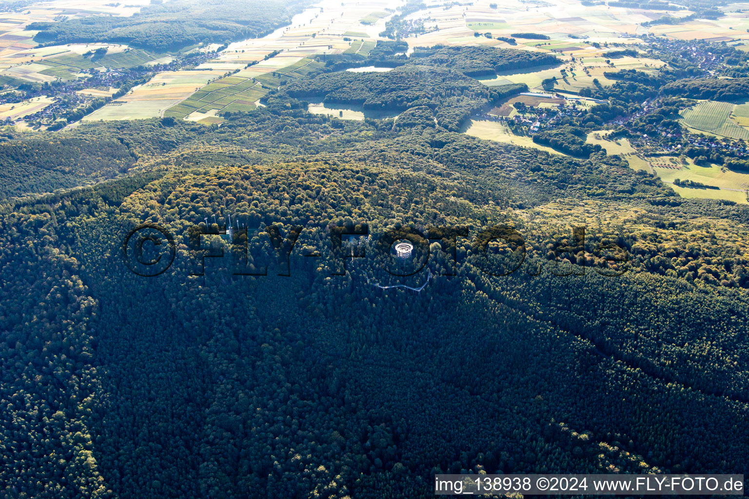 Parcours dans les arbres en Alsace à Cleebourg dans le département Bas Rhin, France hors des airs