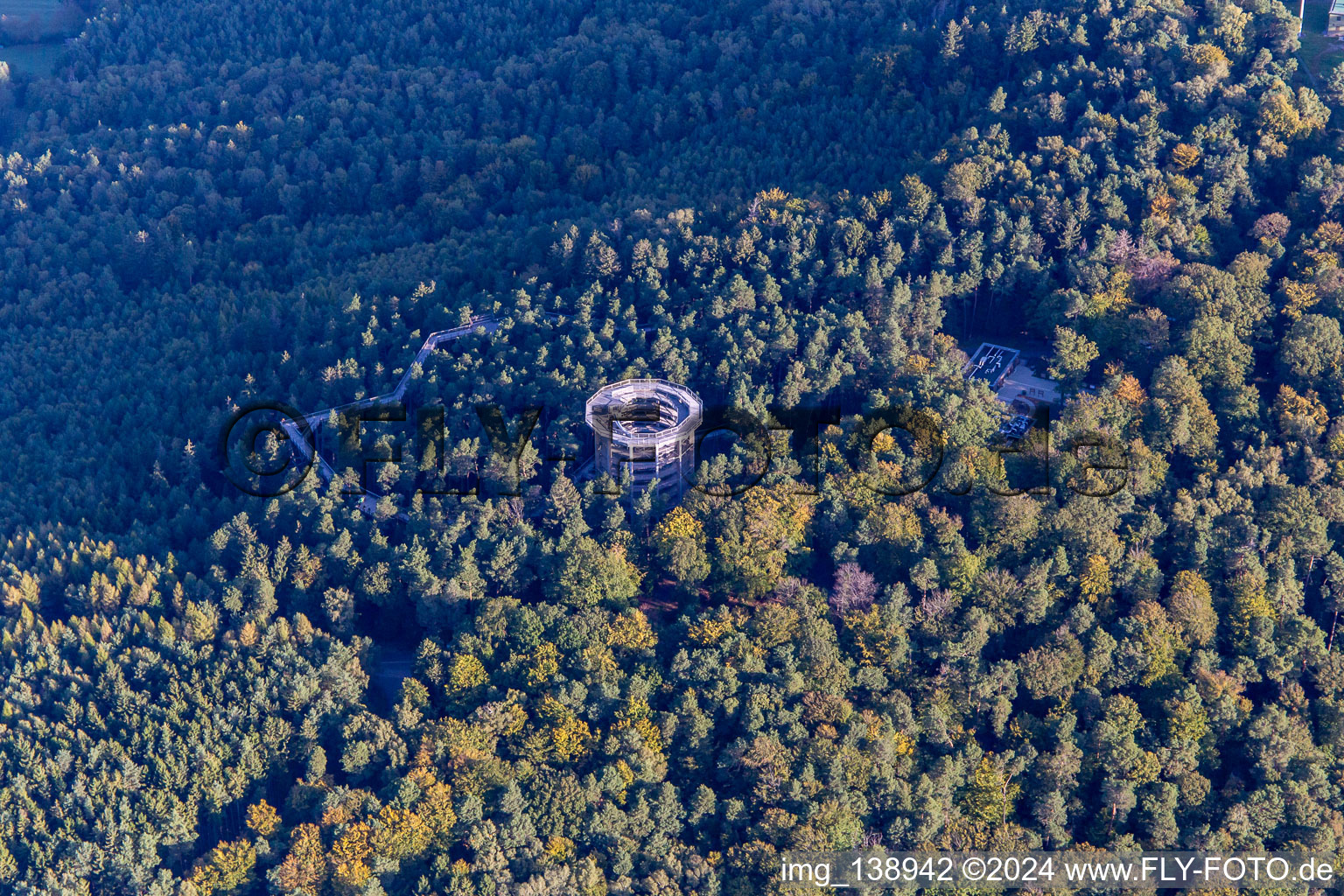 Parcours dans les arbres en Alsace à Cleebourg dans le département Bas Rhin, France vue d'en haut