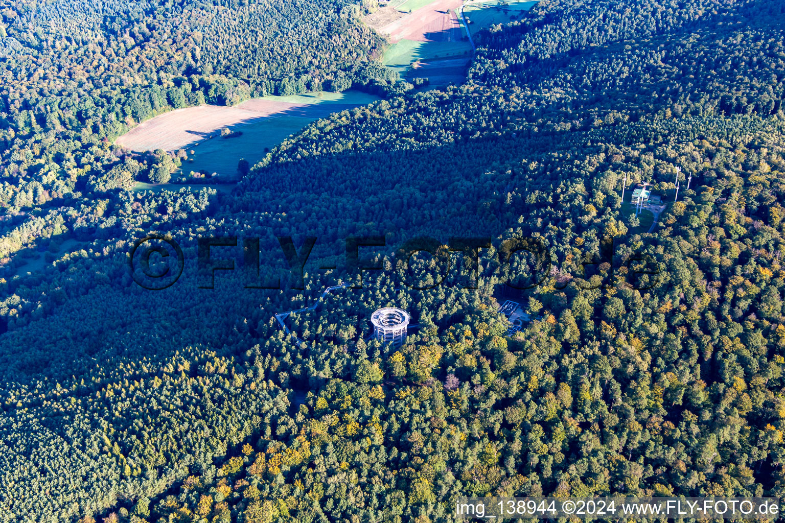 Parcours dans les arbres en Alsace à Cleebourg dans le département Bas Rhin, France depuis l'avion