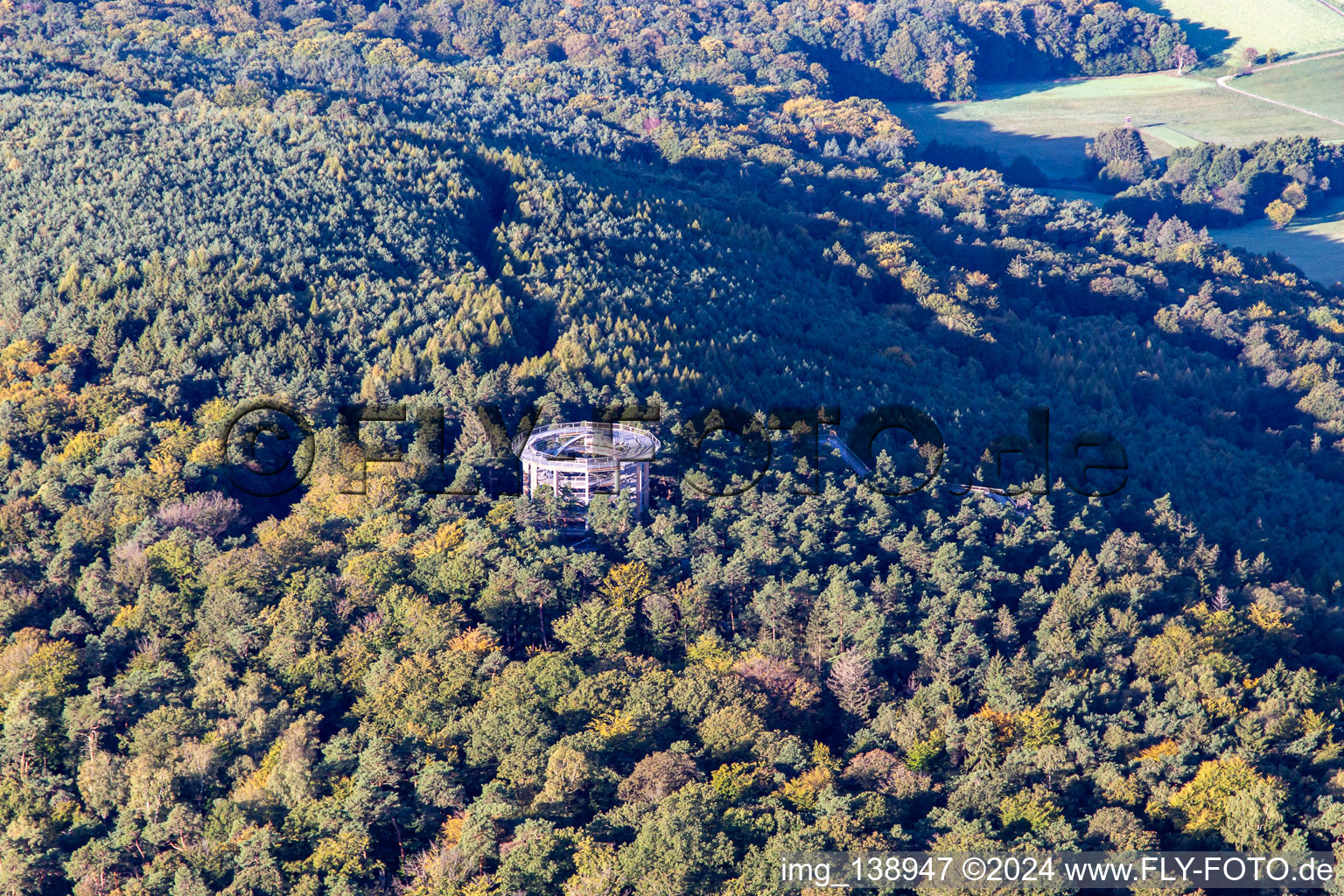 Vue d'oiseau de Parcours dans les arbres en Alsace à Cleebourg dans le département Bas Rhin, France