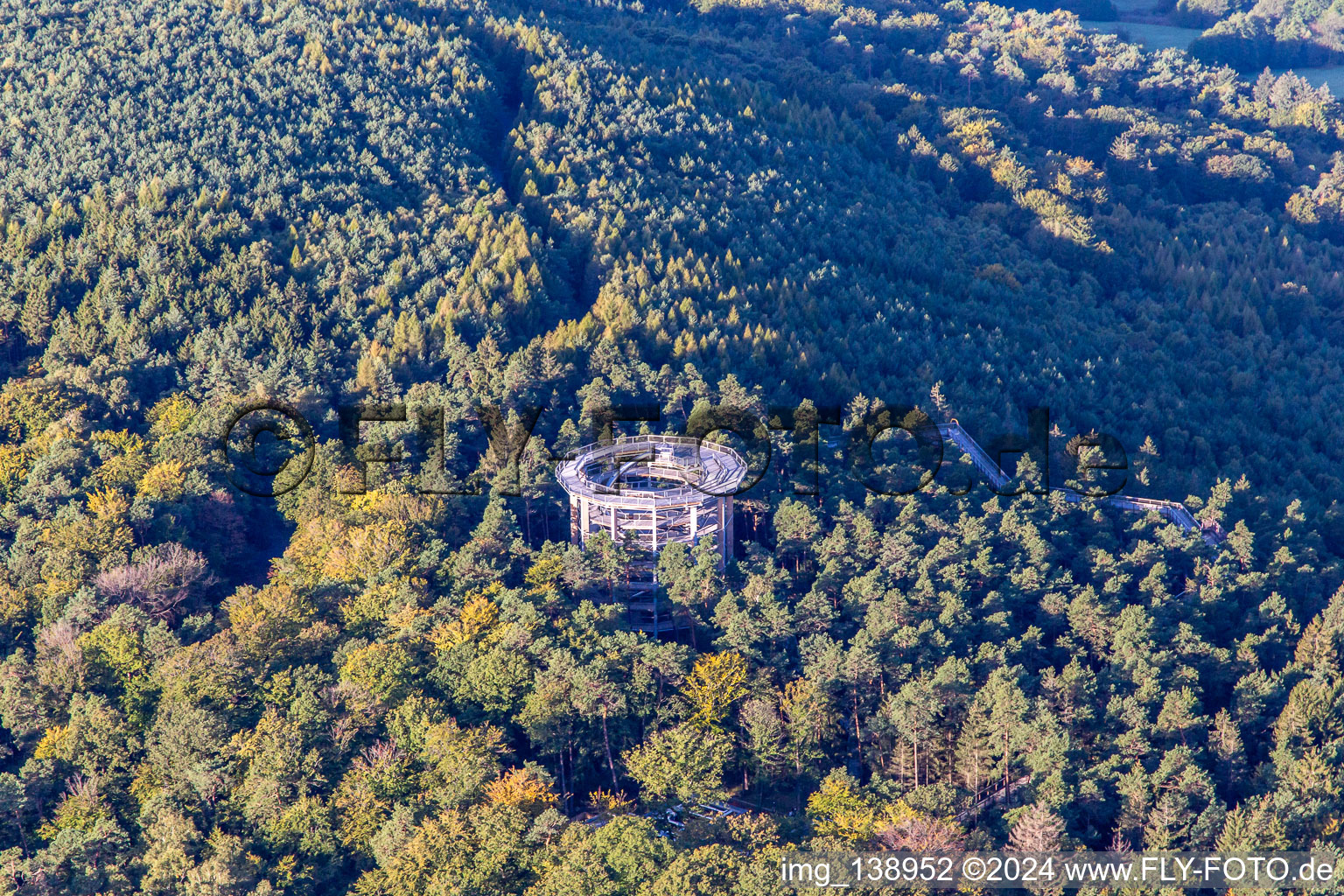 Parcours dans les arbres en Alsace à Cleebourg dans le département Bas Rhin, France vue du ciel