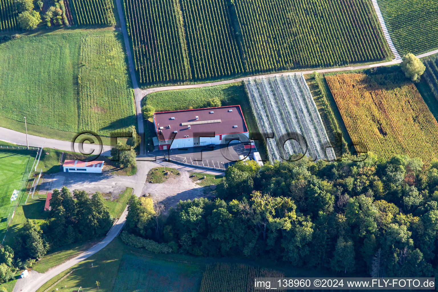 Vue aérienne de Astillo S.à.rl à Steinseltz dans le département Bas Rhin, France