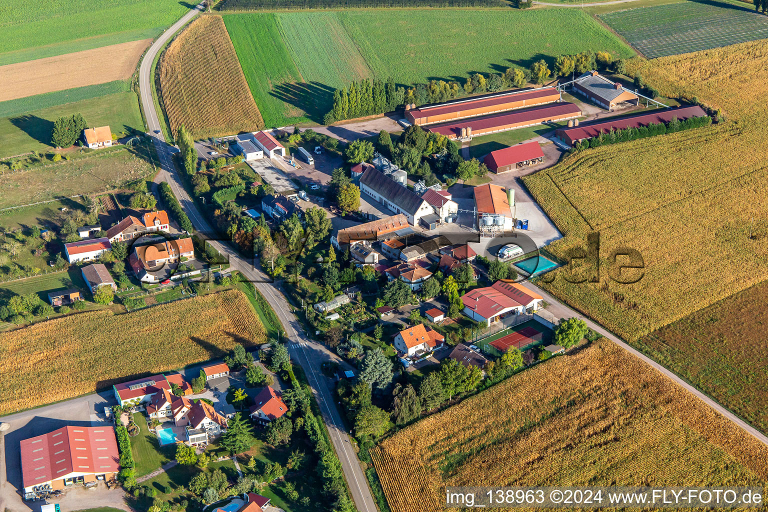 Photographie aérienne de Ferme Schafbusch à Steinseltz dans le département Bas Rhin, France