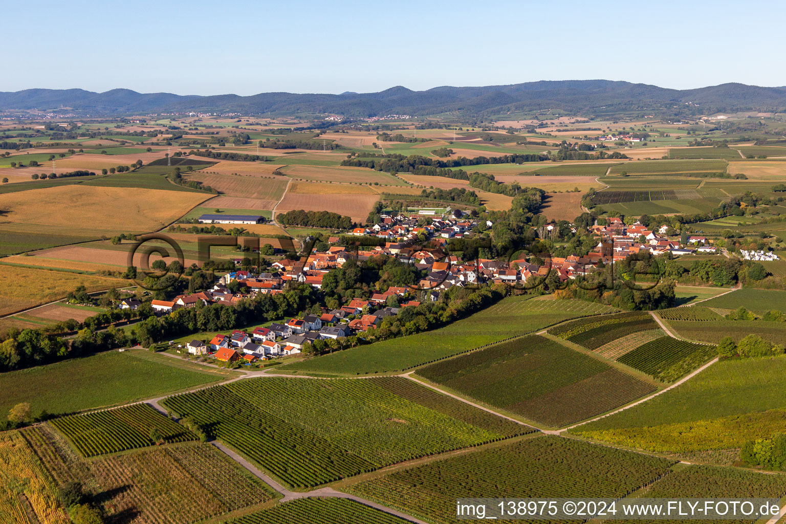 Vue aérienne de Du nord-est à Dierbach dans le département Rhénanie-Palatinat, Allemagne