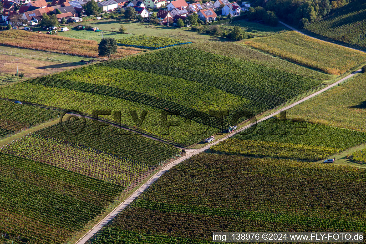 Vue aérienne de Début des vendanges à Hergersweiler dans le département Rhénanie-Palatinat, Allemagne