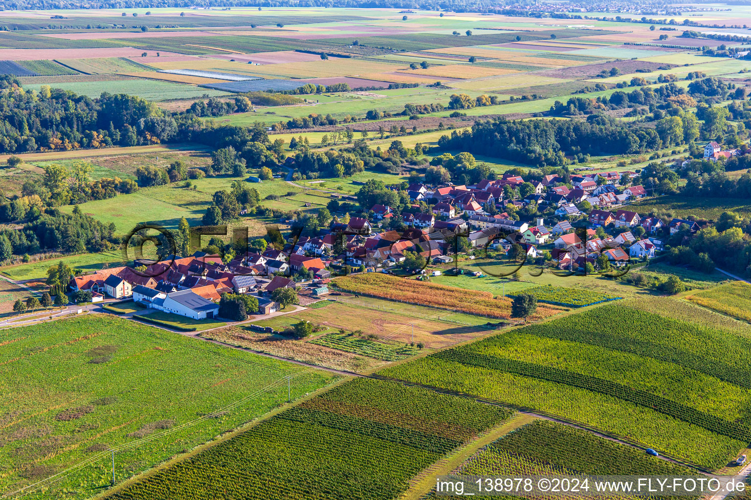 Vue aérienne de Du sud-ouest à Hergersweiler dans le département Rhénanie-Palatinat, Allemagne