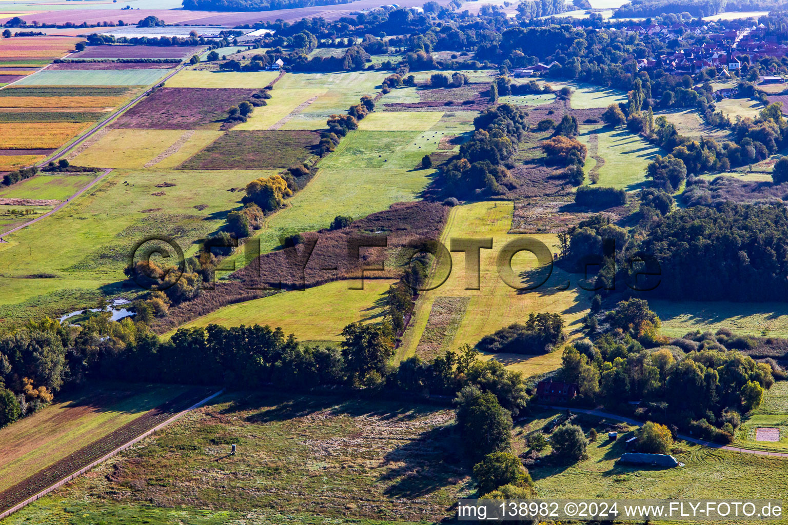 Vue aérienne de Réserve naturelle Billigheimer Bruch depuis l'ouest à le quartier Mühlhofen in Billigheim-Ingenheim dans le département Rhénanie-Palatinat, Allemagne