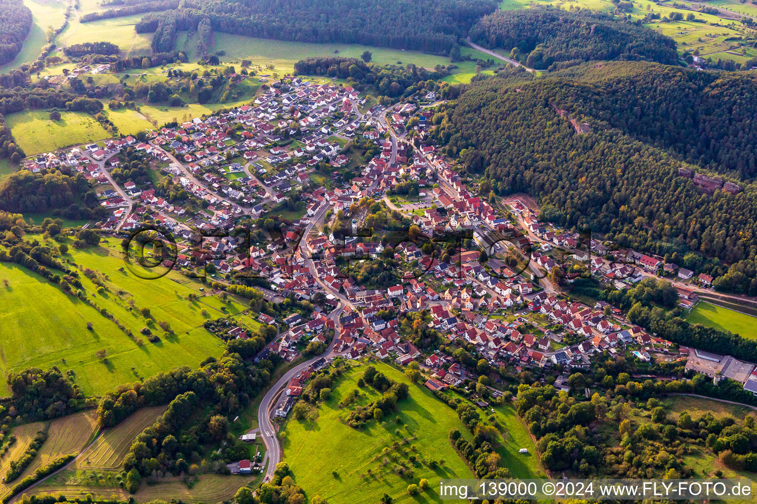 Busenberg dans le département Rhénanie-Palatinat, Allemagne du point de vue du drone