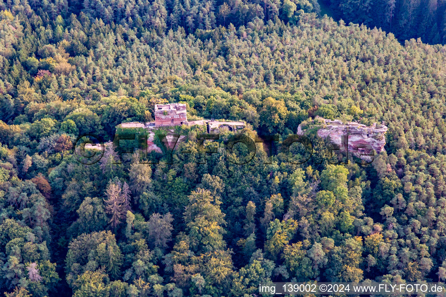 Vue aérienne de Château de Drachenfels à Busenberg dans le département Rhénanie-Palatinat, Allemagne