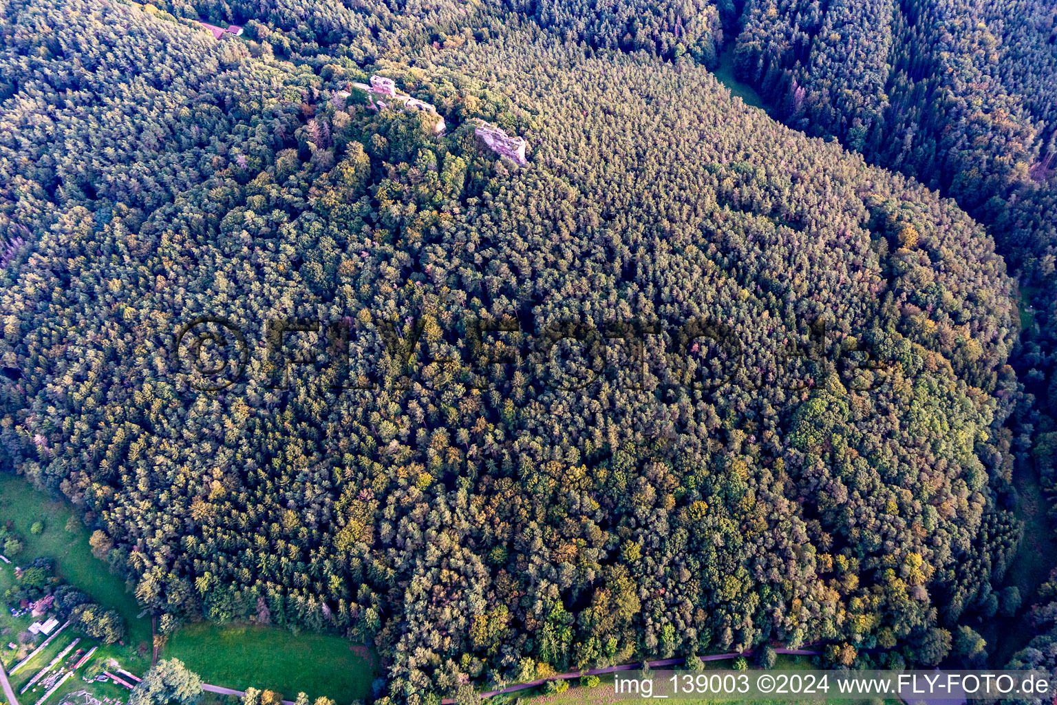 Vue aérienne de Château de Drachenfels à Busenberg dans le département Rhénanie-Palatinat, Allemagne