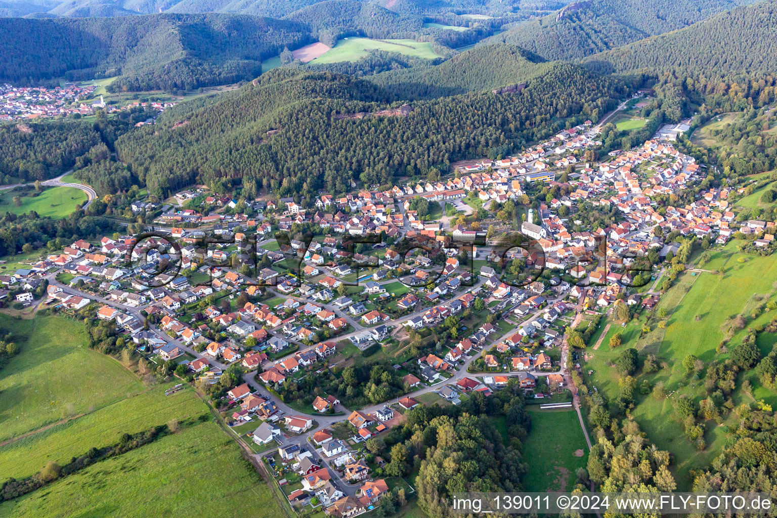 Vue aérienne de Du sud à Busenberg dans le département Rhénanie-Palatinat, Allemagne