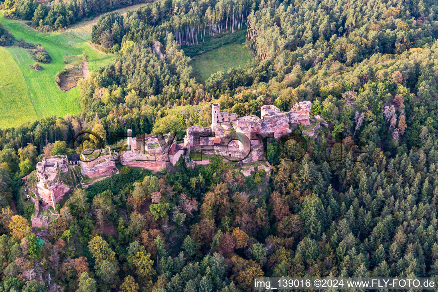 Photographie aérienne de Massif du château d'Altdahn avec les ruines des châteaux de Grafendahn et Tanstein à Dahn dans le département Rhénanie-Palatinat, Allemagne