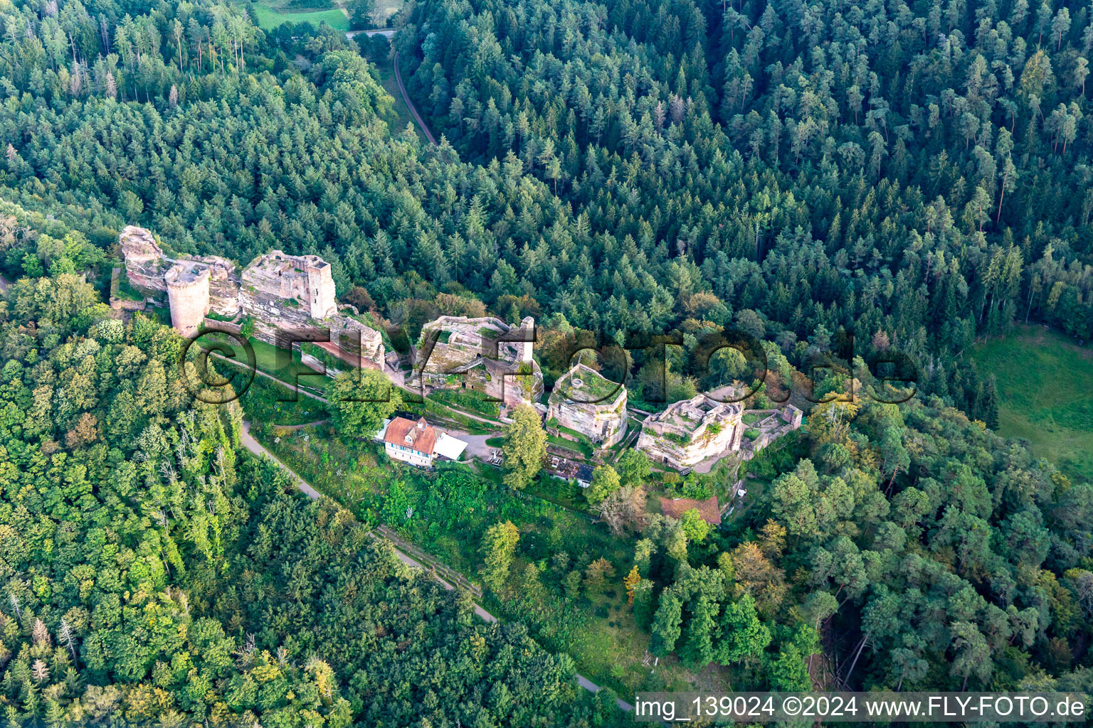 Massif du château d'Altdahn avec les ruines des châteaux de Grafendahn et Tanstein à Dahn dans le département Rhénanie-Palatinat, Allemagne hors des airs