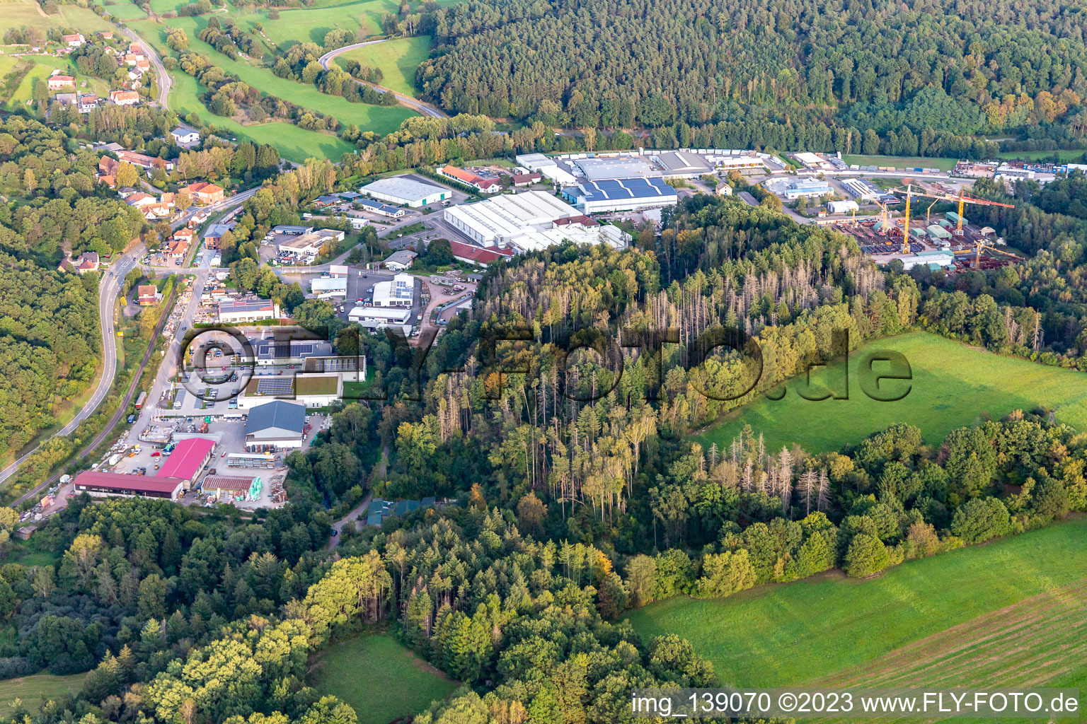 Vue aérienne de Zone industrielle de Reichenbach à Dahn dans le département Rhénanie-Palatinat, Allemagne