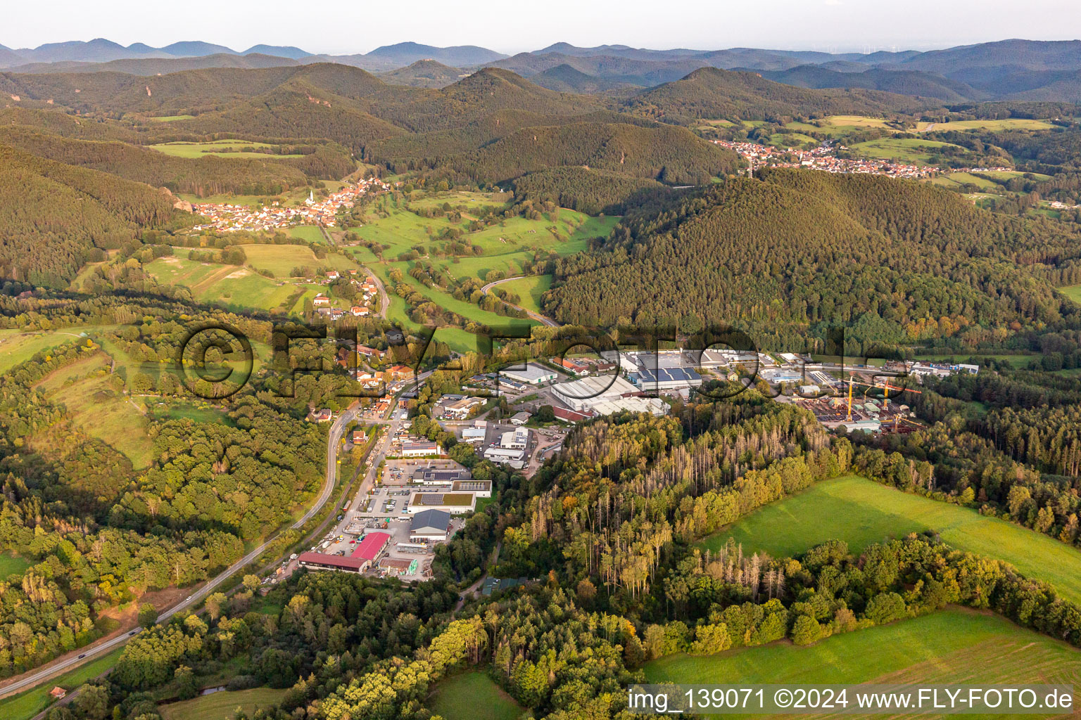 Vue aérienne de Zone industrielle de Reichenbach à Dahn dans le département Rhénanie-Palatinat, Allemagne