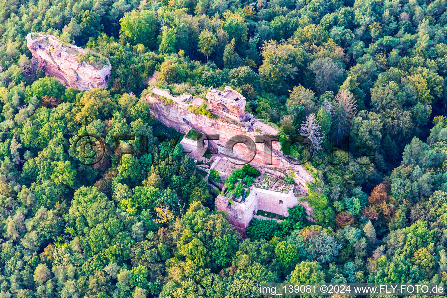 Vue d'oiseau de Château de Drachenfels à Busenberg dans le département Rhénanie-Palatinat, Allemagne