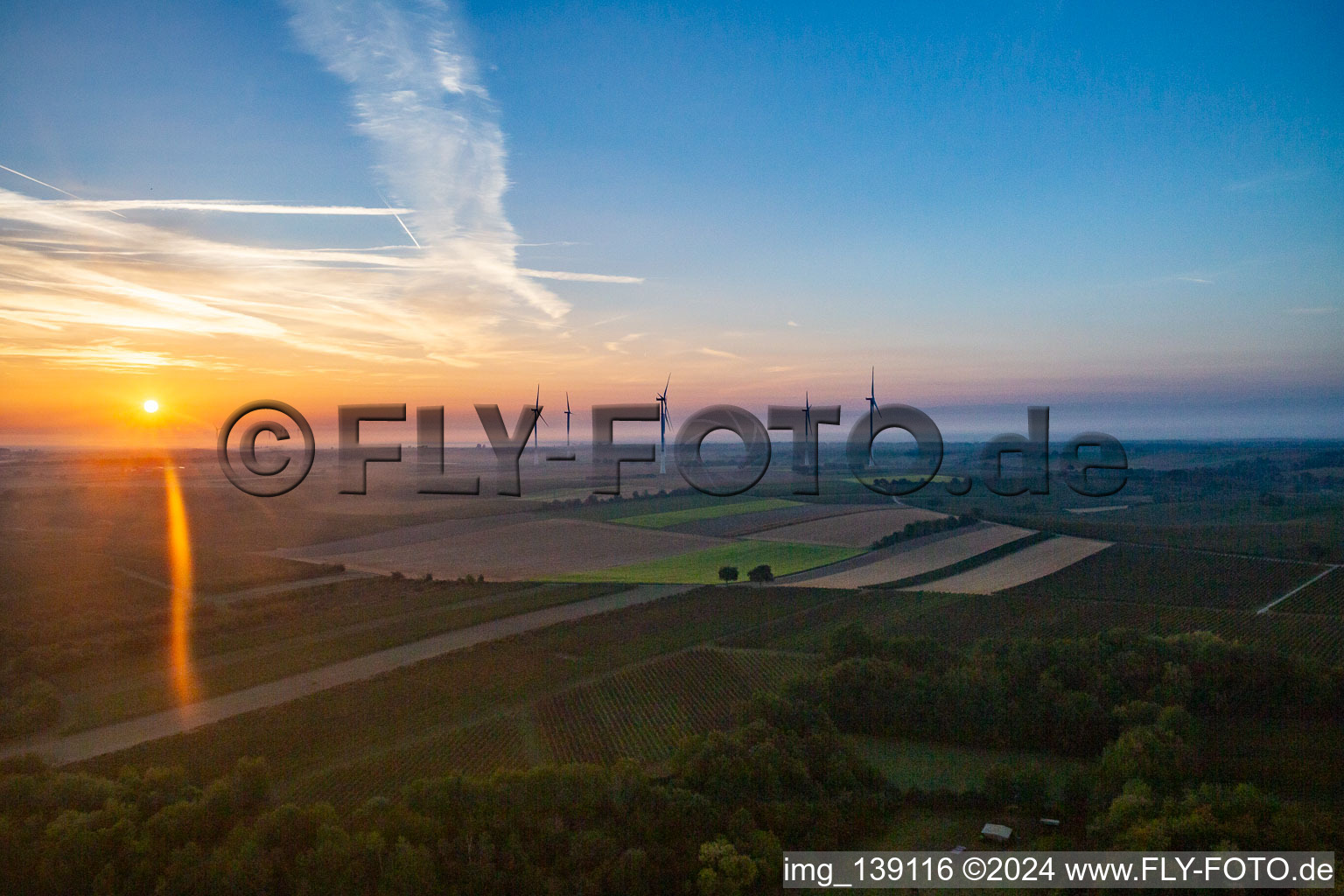 Freckenfeld dans le département Rhénanie-Palatinat, Allemagne du point de vue du drone