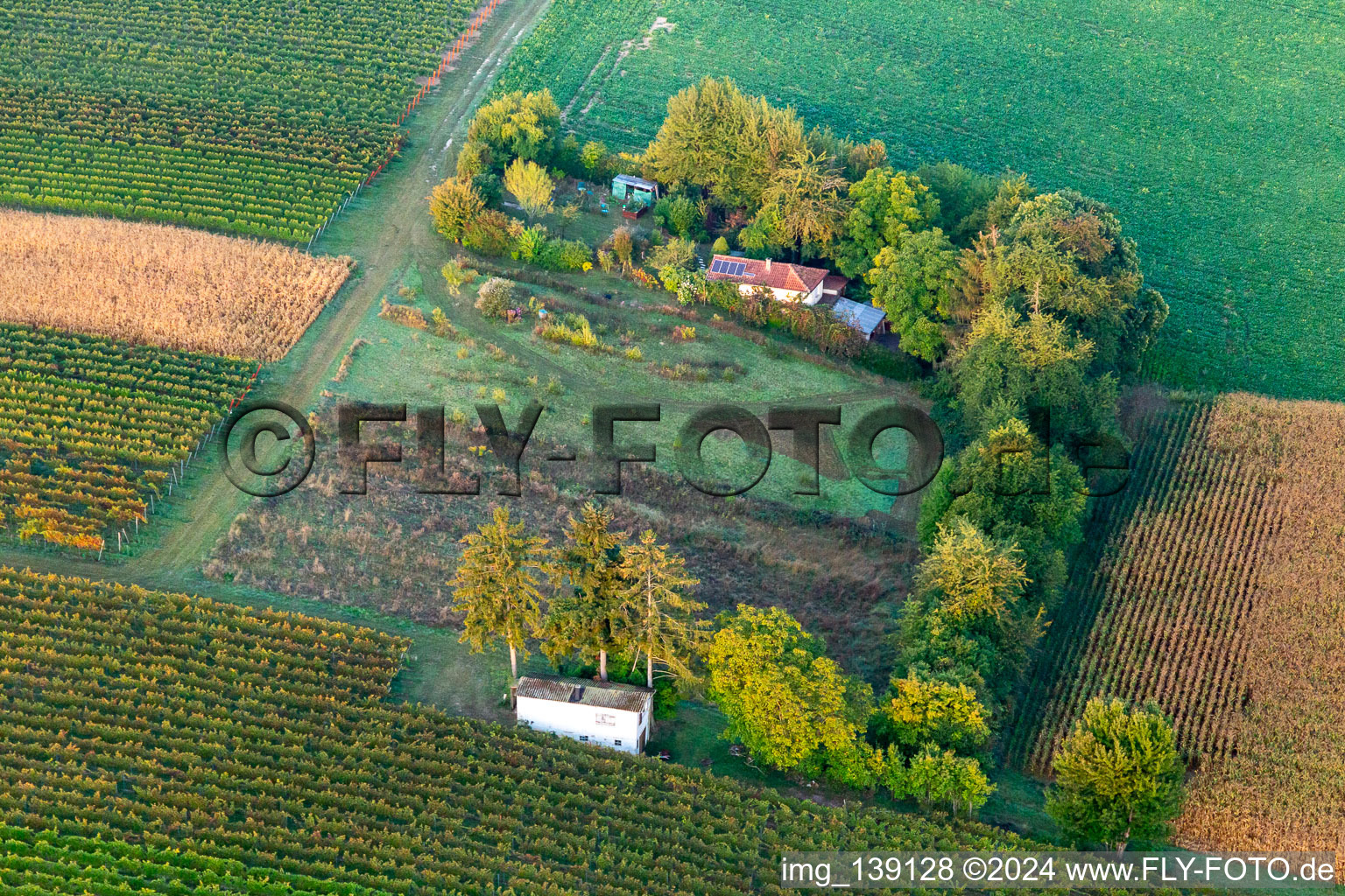 Vue aérienne de Datcha à la campagne à Oberotterbach dans le département Rhénanie-Palatinat, Allemagne