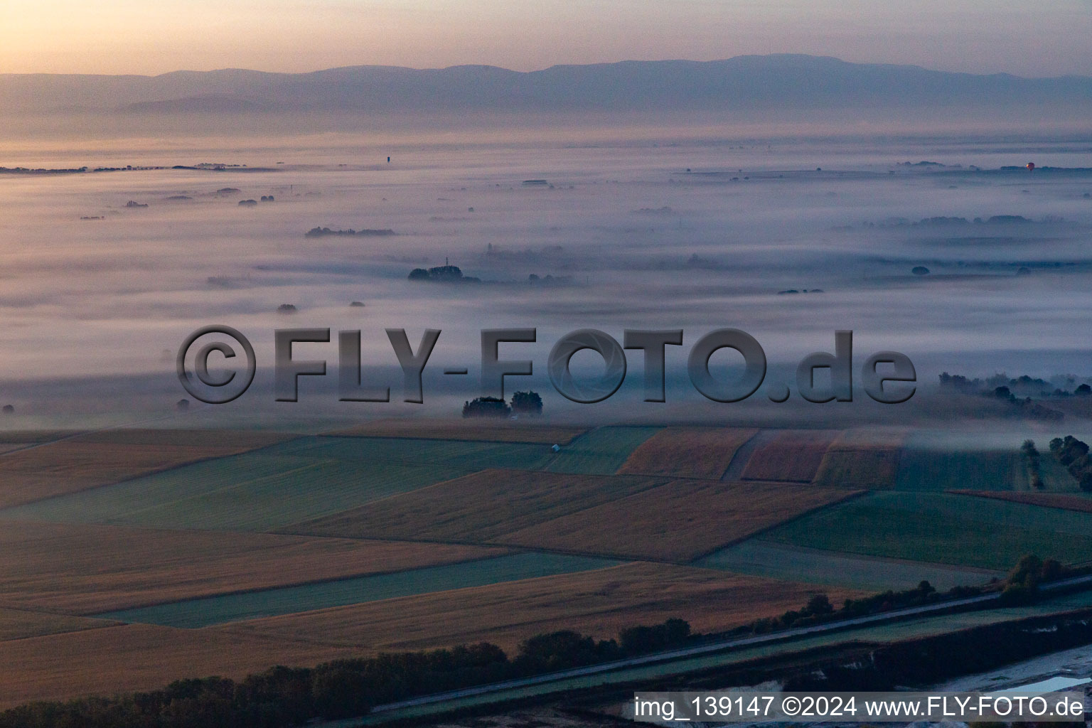 Riedseltz dans le département Bas Rhin, France vue du ciel