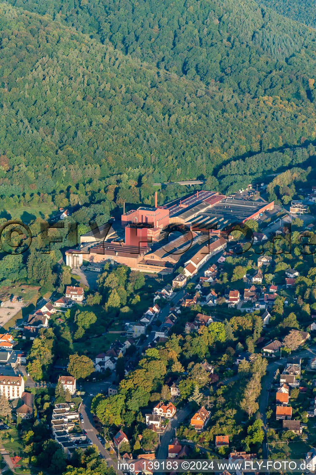 Vue aérienne de FONDERIE DE NIEDERBRONN à Niederbronn-les-Bains dans le département Bas Rhin, France