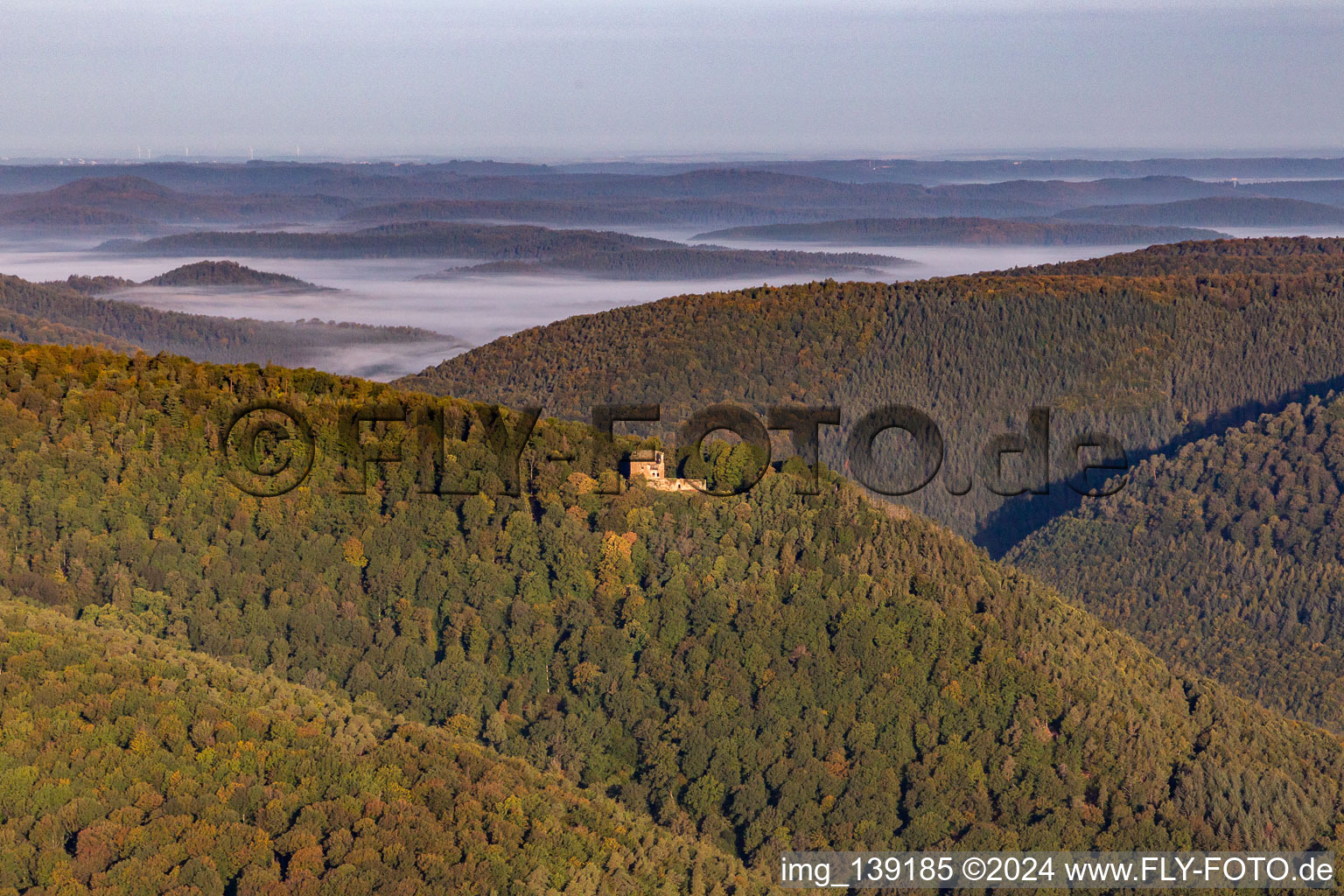 Vue aérienne de Château de la Wasenbourg à Niederbronn-les-Bains dans le département Bas Rhin, France