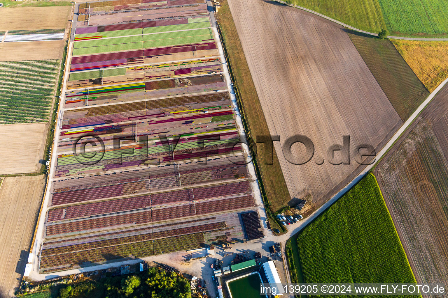 Parterres de fleurs colorés de la Ferme Brandt Arbogast Morsbronn à Durrenbach dans le département Bas Rhin, France d'en haut