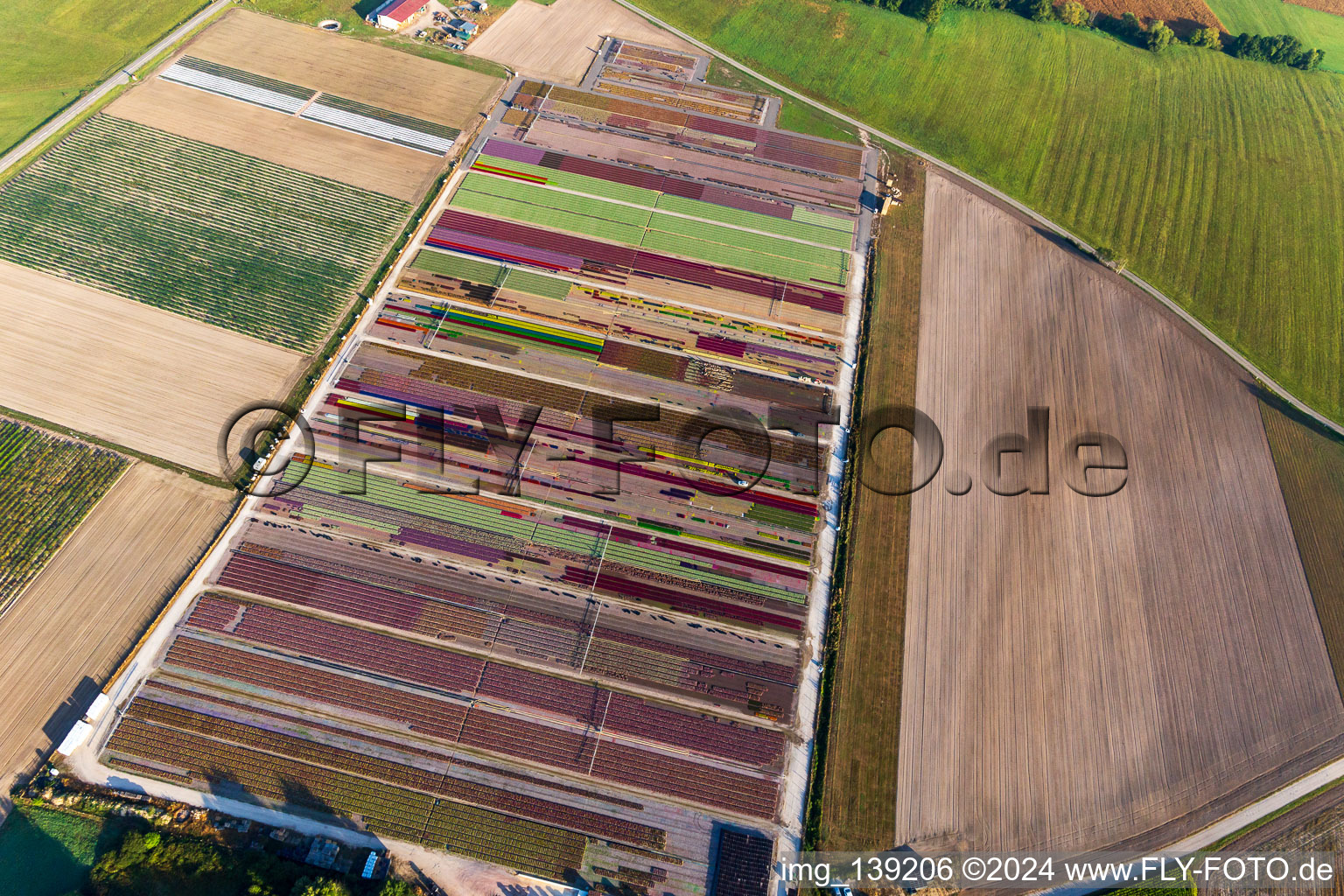 Parterres de fleurs colorés de la Ferme Brandt Arbogast Morsbronn à Durrenbach dans le département Bas Rhin, France hors des airs