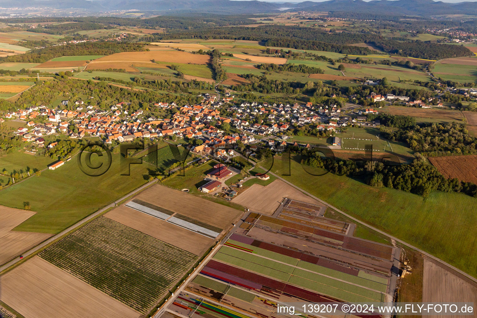 Vue aérienne de Ferme Brandt Arbogast Morsbronn à Morsbronn-les-Bains dans le département Bas Rhin, France