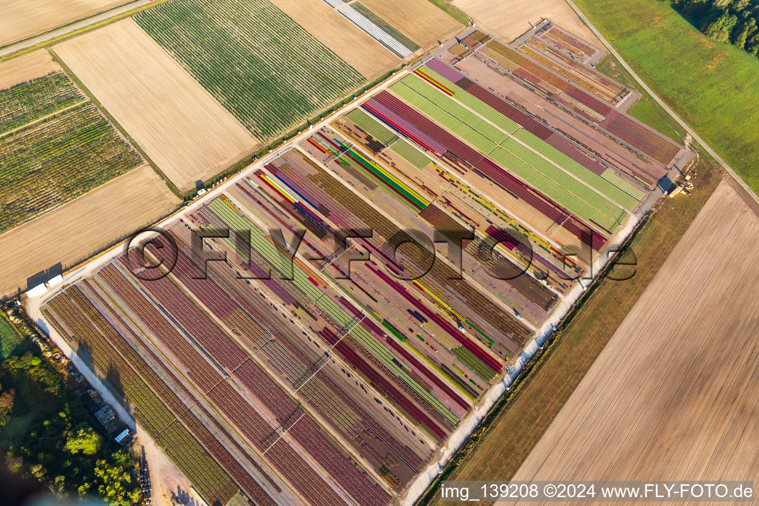 Parterres de fleurs colorés de la Ferme Brandt Arbogast Morsbronn à Durrenbach dans le département Bas Rhin, France vue d'en haut