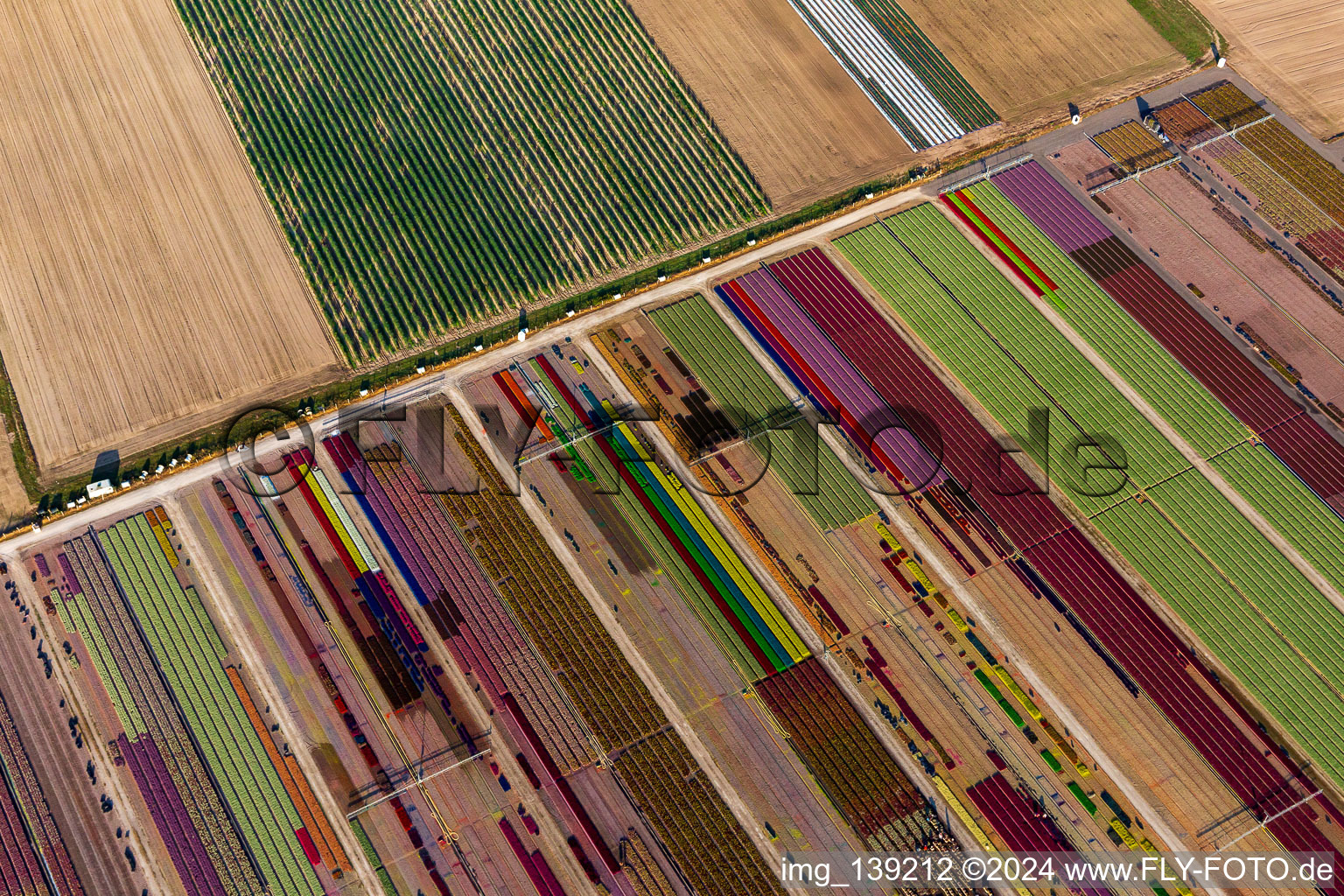 Parterres de fleurs colorés de la Ferme Brandt Arbogast Morsbronn à Durrenbach dans le département Bas Rhin, France depuis l'avion