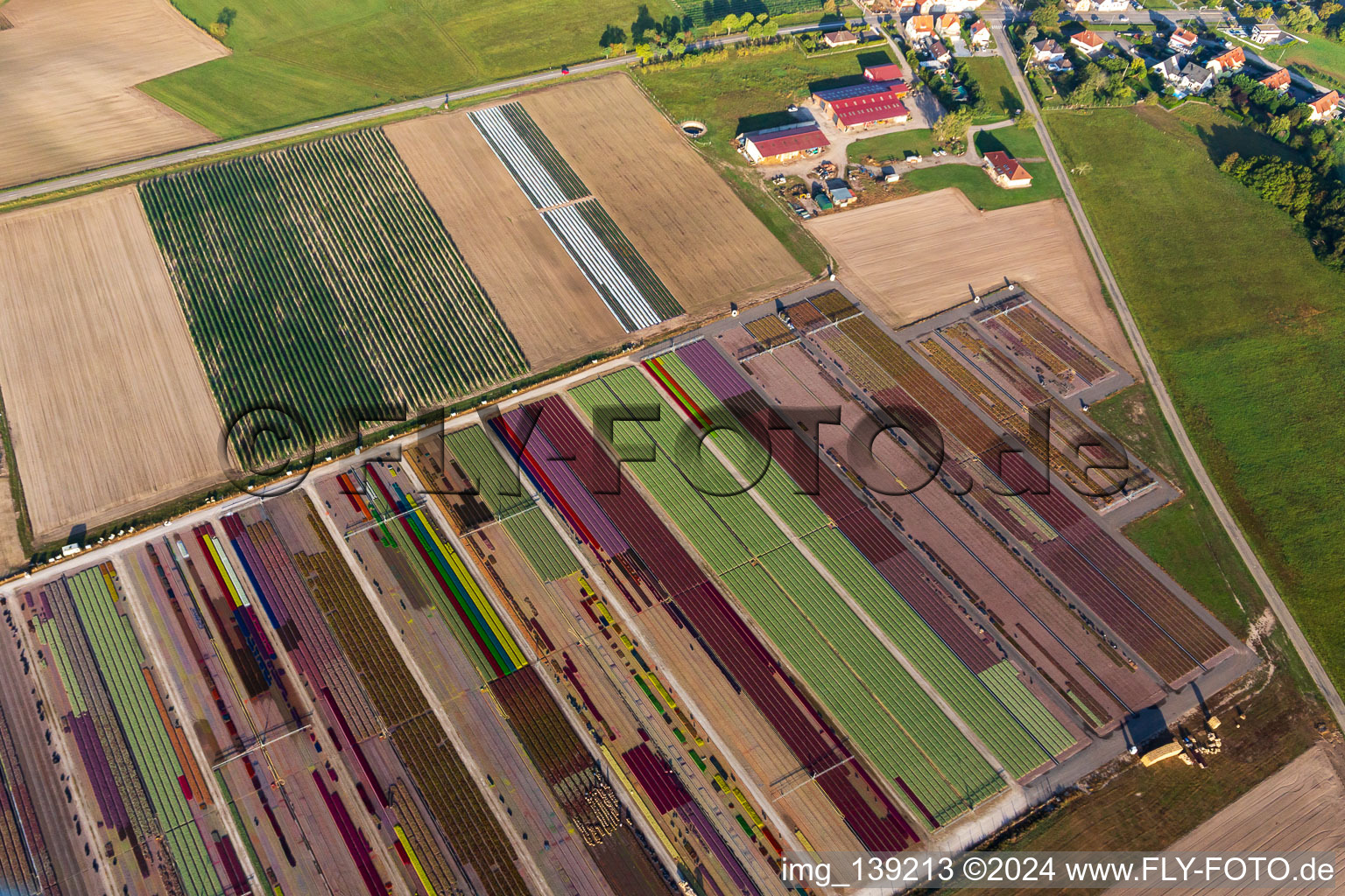 Vue d'oiseau de Parterres de fleurs colorés de la Ferme Brandt Arbogast Morsbronn à Durrenbach dans le département Bas Rhin, France