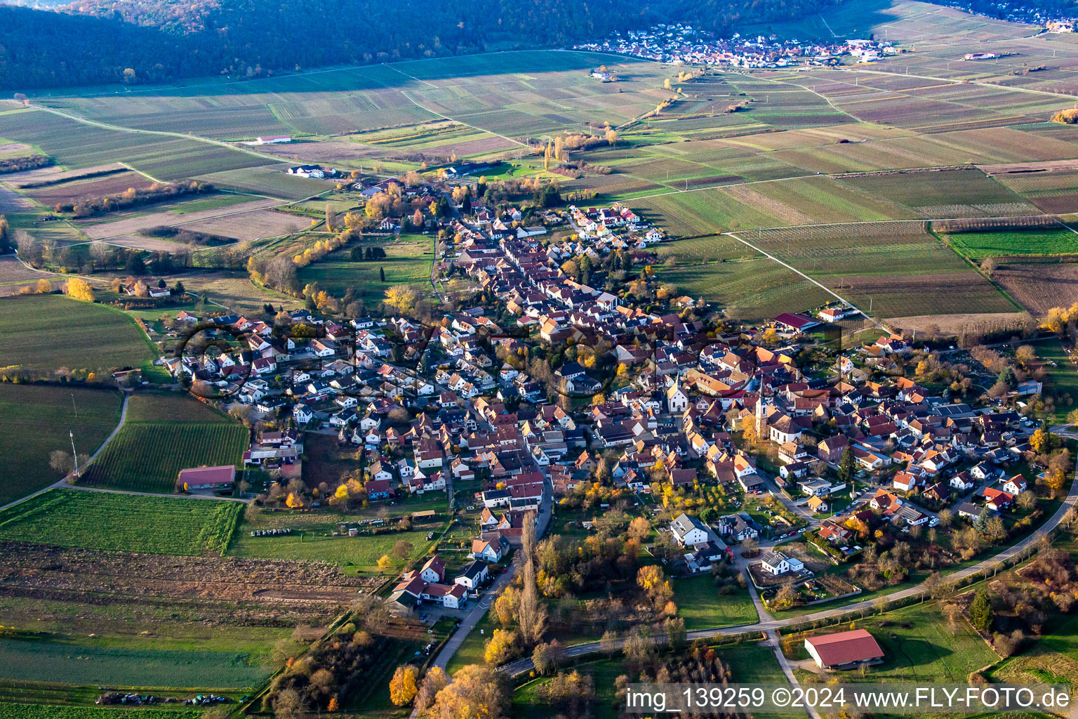 Vue aérienne de De l'est à Göcklingen dans le département Rhénanie-Palatinat, Allemagne