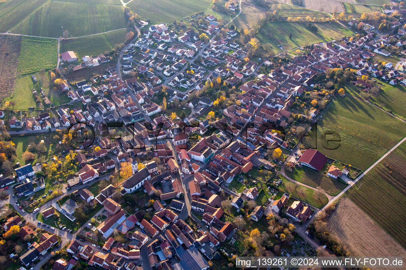 Vue aérienne de Du nord-est à Göcklingen dans le département Rhénanie-Palatinat, Allemagne