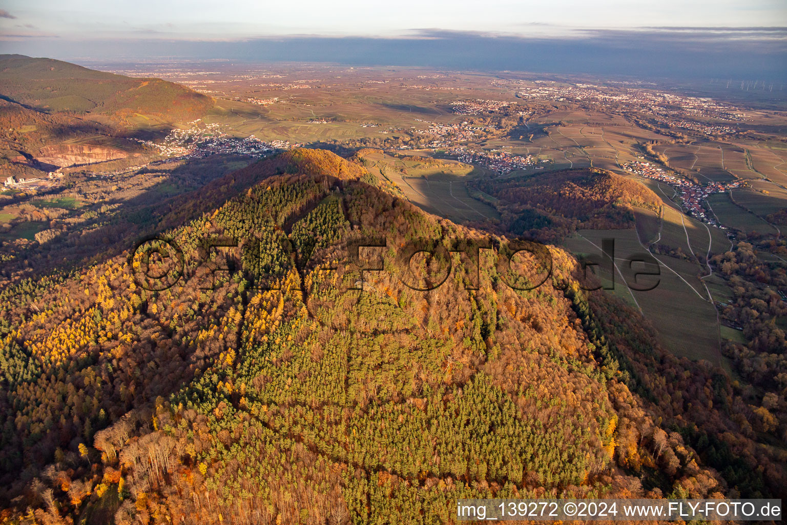 Vue aérienne de Hohenberg de l'ouest à Annweiler am Trifels dans le département Rhénanie-Palatinat, Allemagne