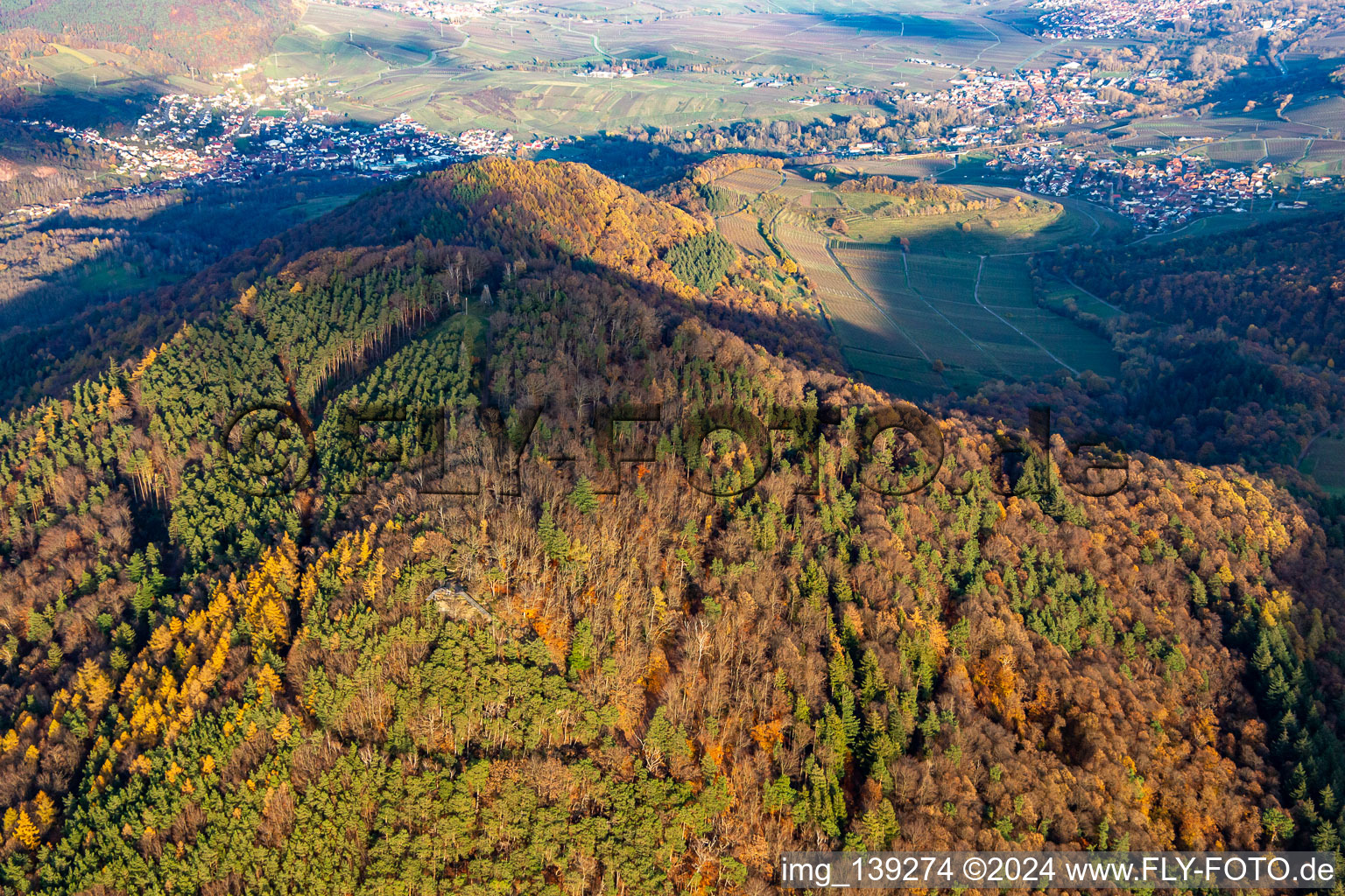 Vue aérienne de Hohenberg de l'ouest à Annweiler am Trifels dans le département Rhénanie-Palatinat, Allemagne