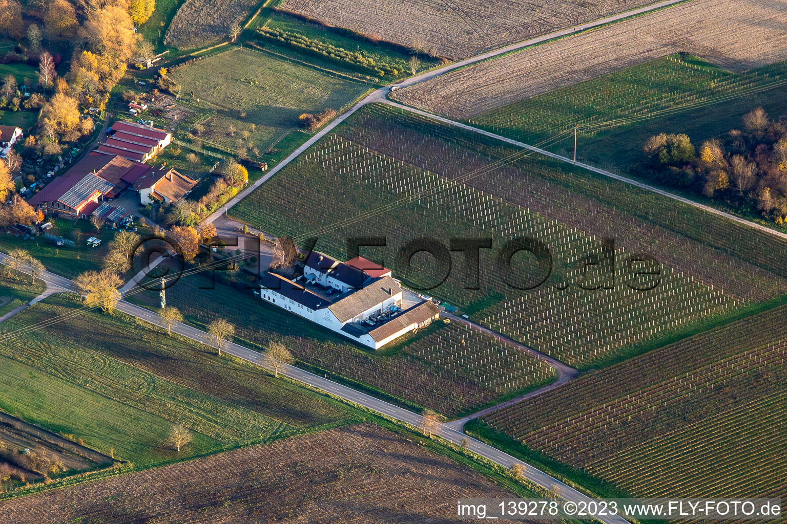Vue aérienne de Le bar à vin Knauf à Göcklingen dans le département Rhénanie-Palatinat, Allemagne