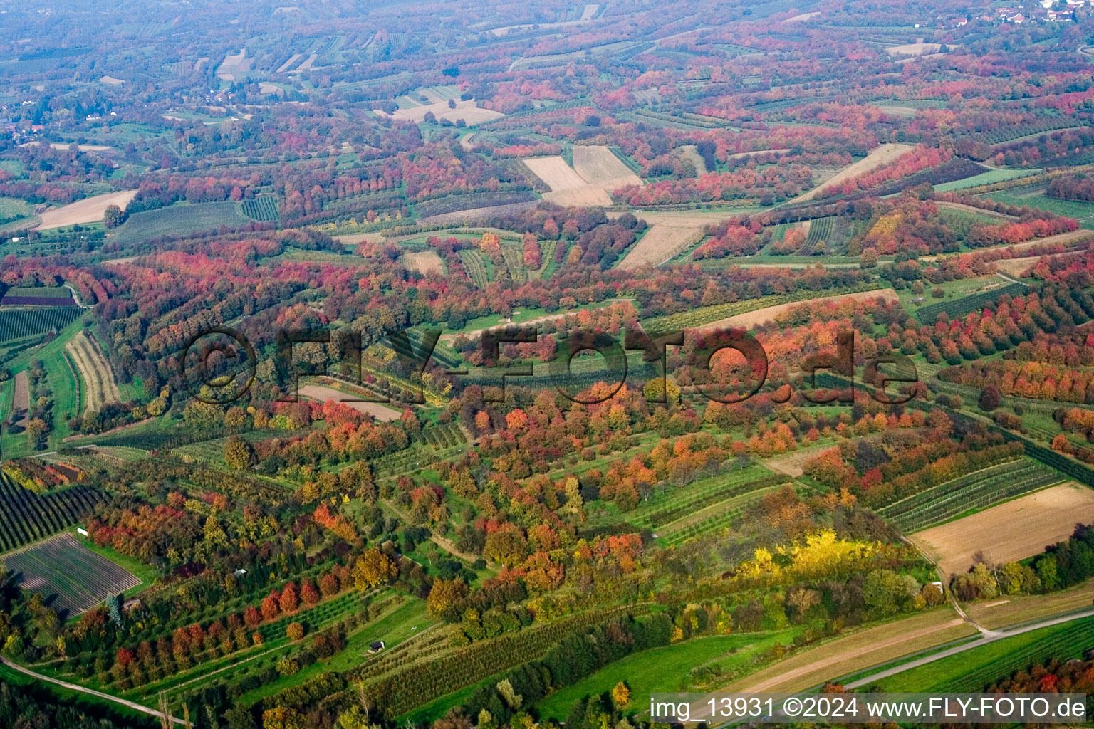 Photographie aérienne de Renchen dans le département Bade-Wurtemberg, Allemagne