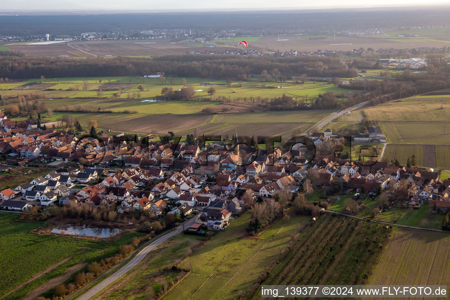 Vue aérienne de Du nord à Erlenbach bei Kandel dans le département Rhénanie-Palatinat, Allemagne