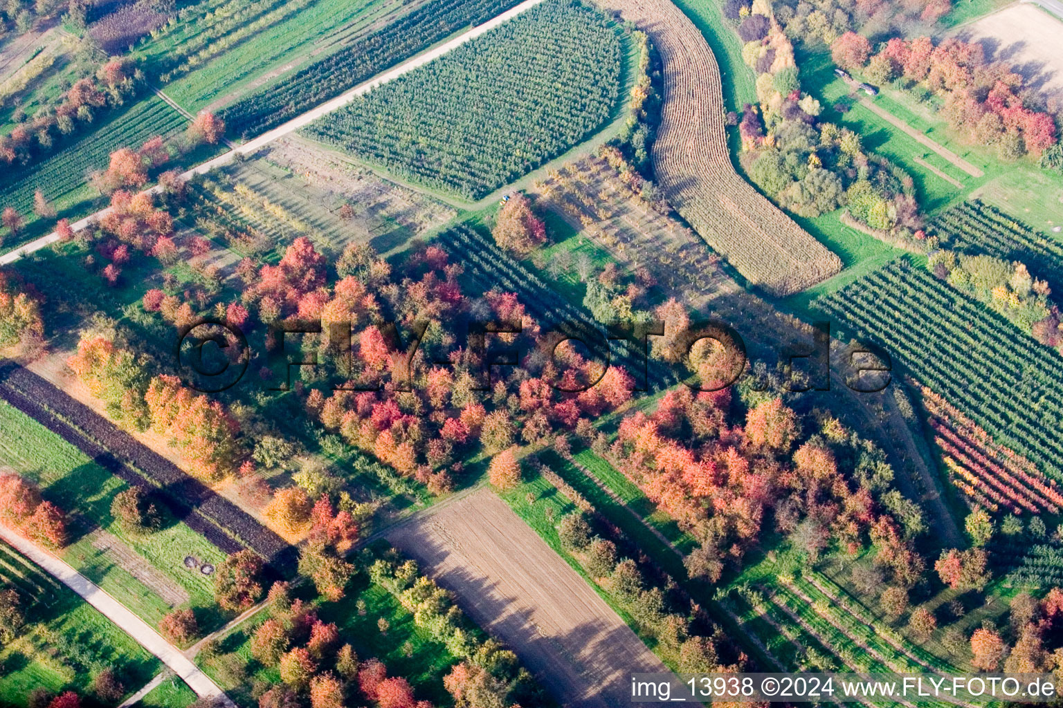 Vue aérienne de Oberönsbach à le quartier Mösbach in Achern dans le département Bade-Wurtemberg, Allemagne