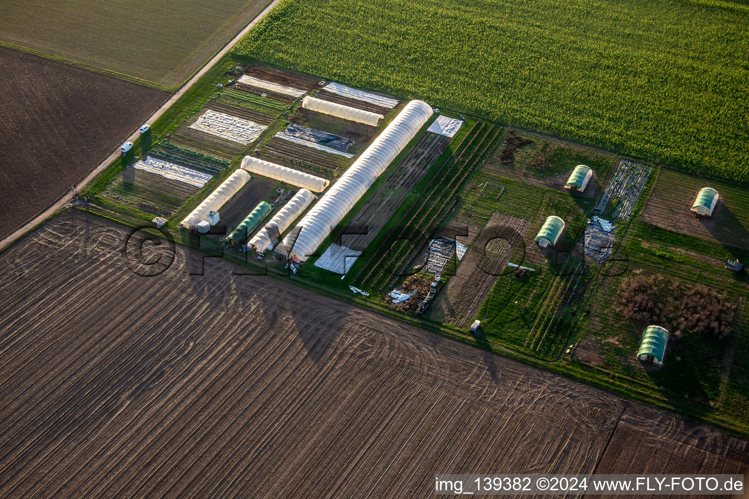 Vue aérienne de Légumes, pousses et poulets biologiques à Steinweiler dans le département Rhénanie-Palatinat, Allemagne