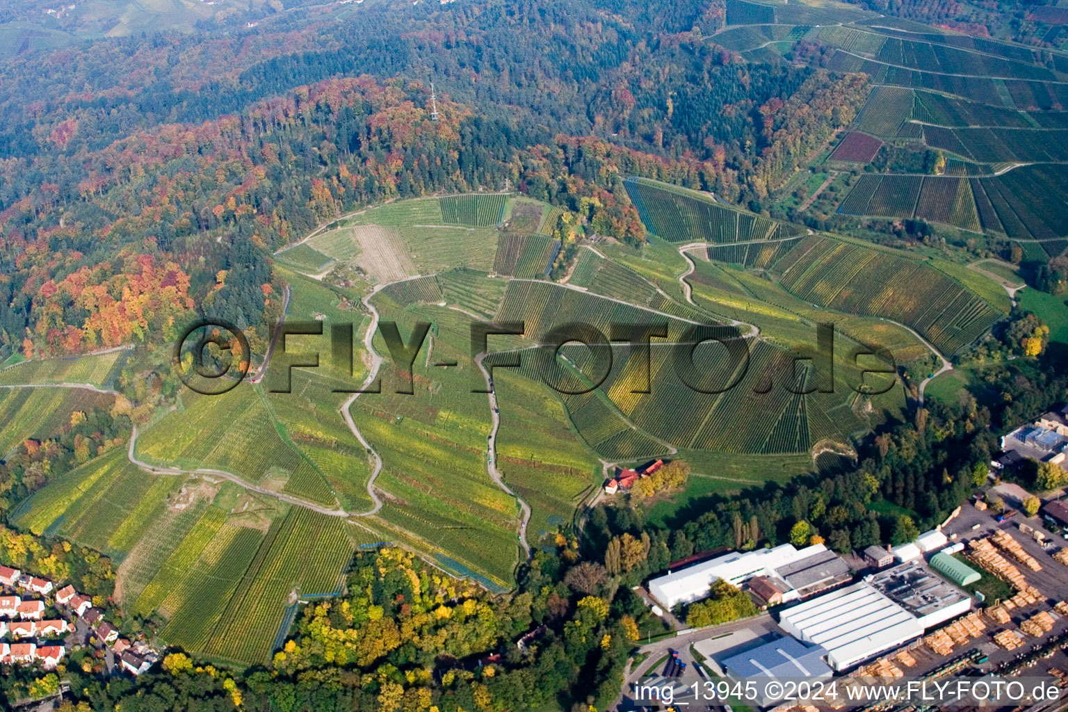 Vue aérienne de Paysage viticole des zones viticoles au-dessus de la scierie de la Forêt-Noire dans le district d'Oberachern à Achern dans le département Bade-Wurtemberg, Allemagne